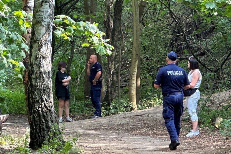 В Петербурге летний подросток насмерть забил девочку молотком во время стрима // Новости НТВ